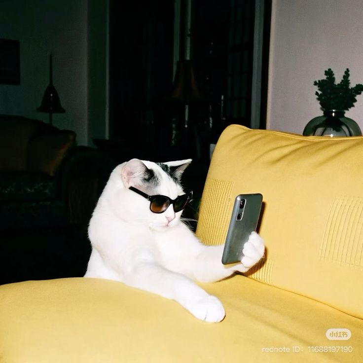 Tutor passeando com o pet em uma rua da cidade